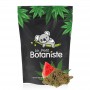 Meilleur fleur cbd indica