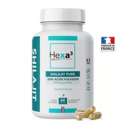 shilajit gelule meilleur
