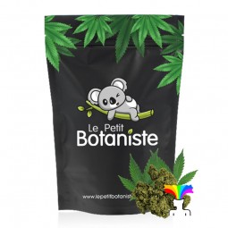 CBD le plus puissant en France  cbd qui dfonce le plus  fumer