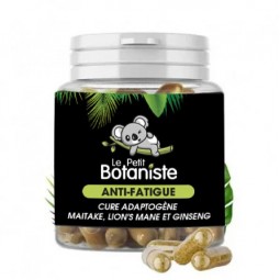 meilleur cbd fatigue chronique