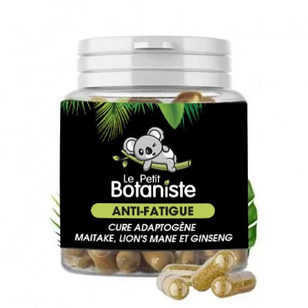 meilleur cbd fatigue chronique
