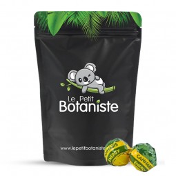 sucette cannabis energy