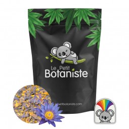 substitut cannabis sans THC
