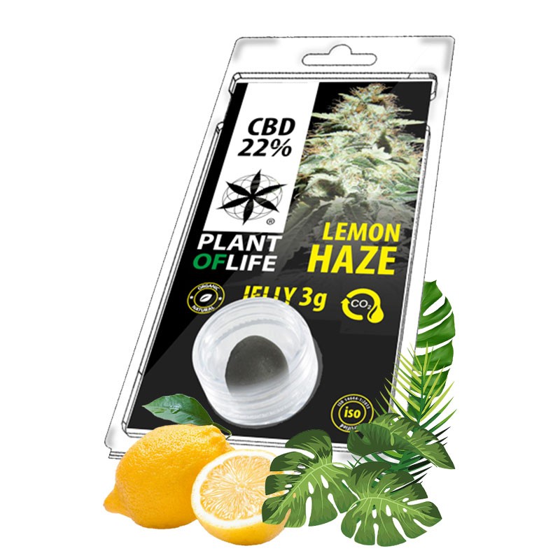 hash cbd lemon haze