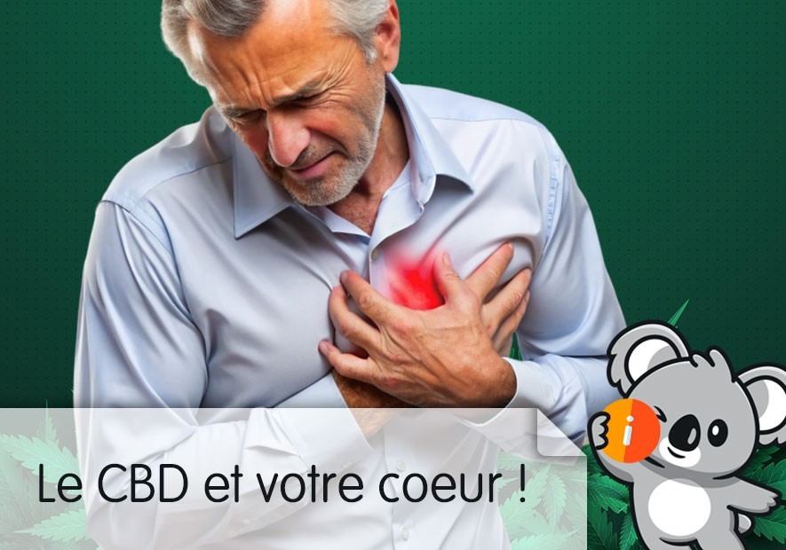 CBD pour le cœur, palpitations et tachycardie : bienfaits, effet, avis