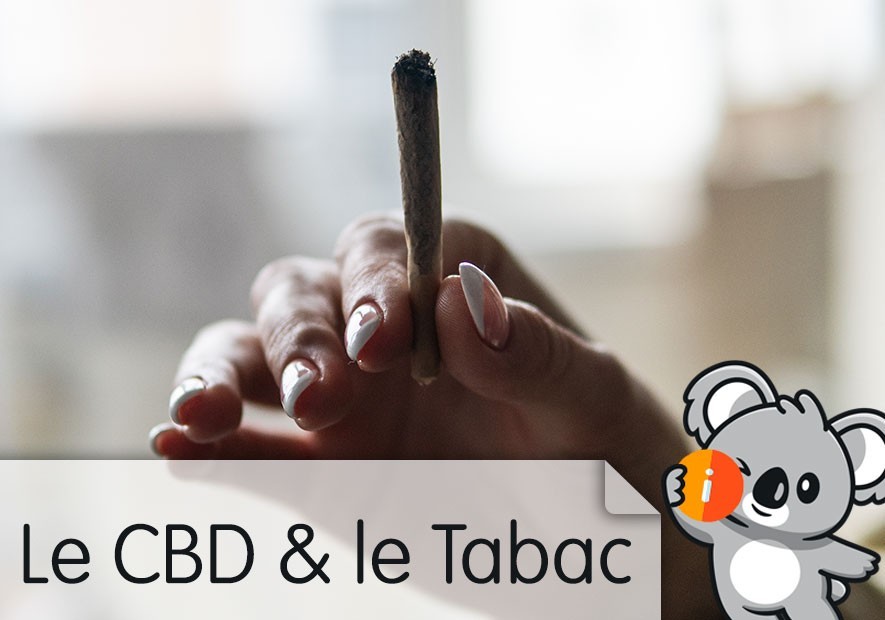 CBD et Tabac : avis et effet, meilleur que cigarette, nicotine, légal