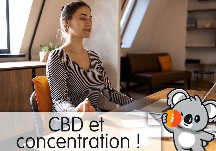 Comment le CBD peut améliorer la concentration et la productivité, la stimuler ?