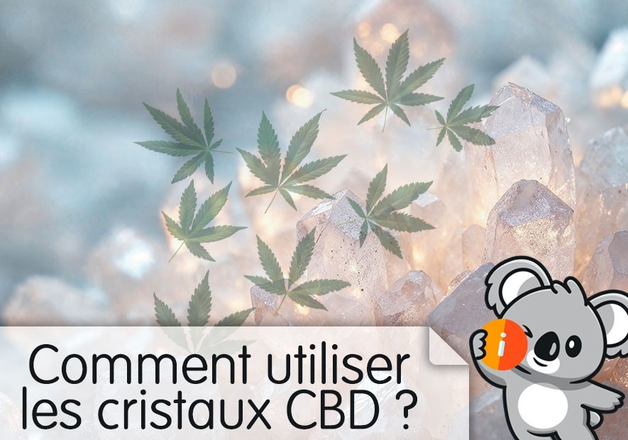 Comment utiliser et dissoudre les cristaux de CBD ? Dosage, e-liquide, effet