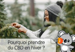 Pourquoi prendre du CBD en hiver ? Peau, immunité, fatigue, bienfaits