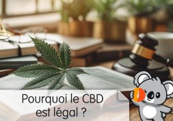 Pourquoi le CBD est légal en France ? Limite taux THC