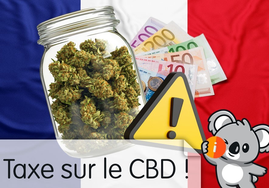 Taxe sur le CBD en France pour 2026 : comme le tabac, TVA augmentée, vape