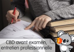 CBD avant examen, partiels, entretien professionnel, passer le permis de conduire