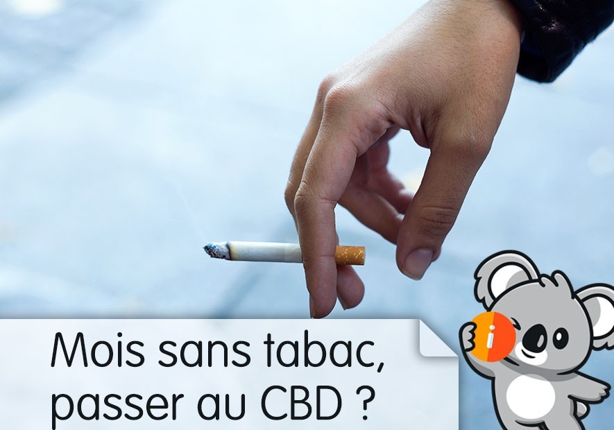 Pourquoi le Mois sans tabac est le moment idéal pour passer au CBD ? Avis et effet