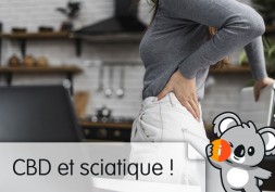 CBD et sciatique, hernie discale : témoignage, avis et effet
