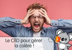 CBD et colère, agressivité, trouble du comportement : avis et effet