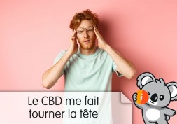 CBD fait tourner la tête, qui donne mal à la tête, vertige | effet secondaire, indésirable