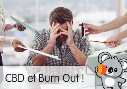 CBD et burn out : avis effet, symptôme, défiition, travail, maladie professionnelle