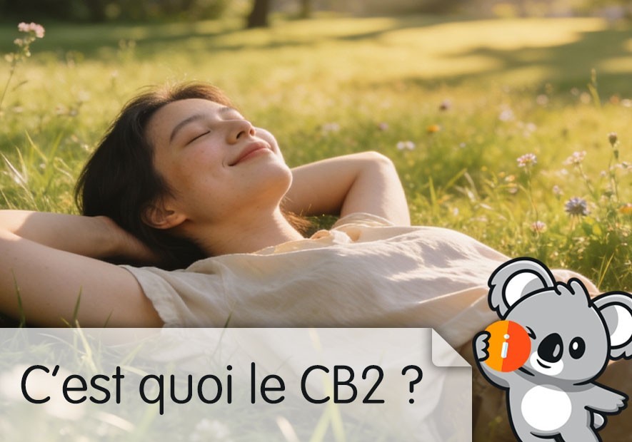 CBD CB2 c'est quoi ? Avis et effet, nouveau CBD avec PEA