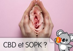 CBD et SOPK (Syndrome des Ovaires Polykystiques) : avis effet, dérèglement hormonal