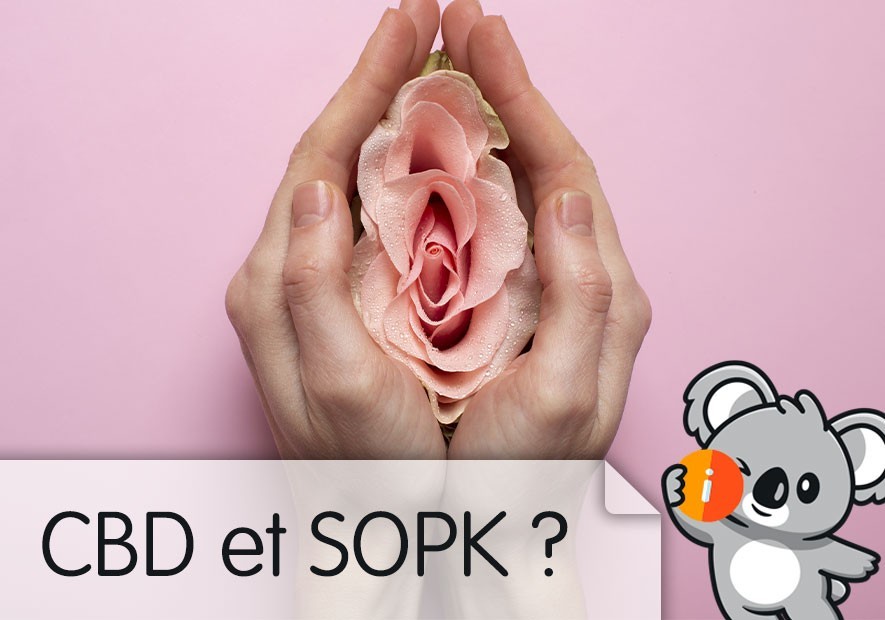 CBD et SOPK (Syndrome des Ovaires Polykystiques) : avis effet, dérèglement hormonal