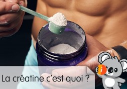 La Créatine c'est quoi ? | Meilleure monohydrate, bienfaits & avis