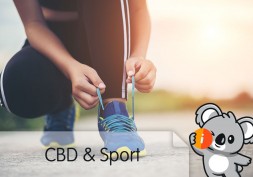 CBD et sport : bienfaits huile et crème pour sportif | musculation, avis