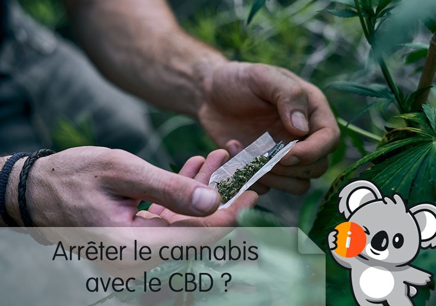 Arrêter le cannabis : quel CBD pour sevrage cannabique, effet | arrêt