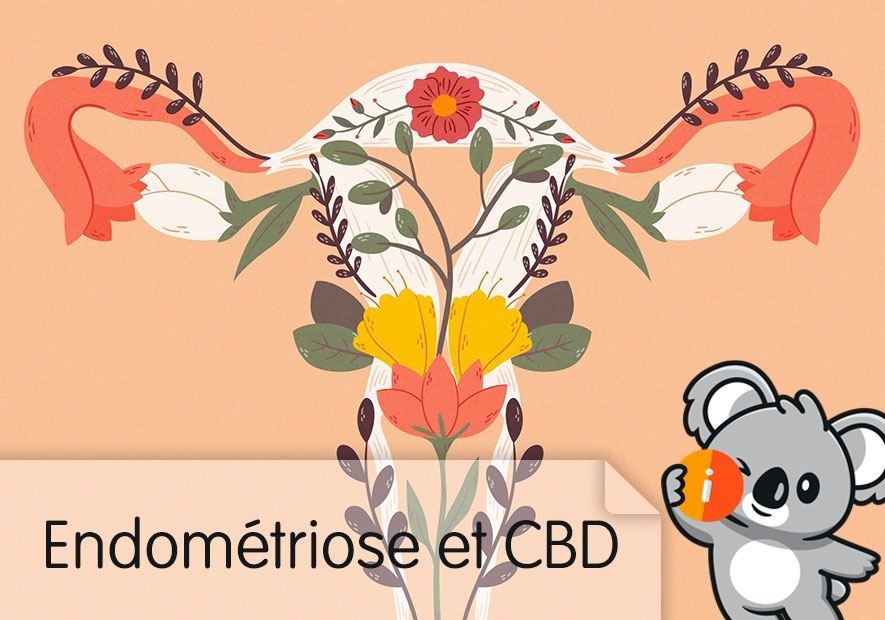 Endométriose et CBD ❤ soulagement naturel douleurs règles, efficace ?
