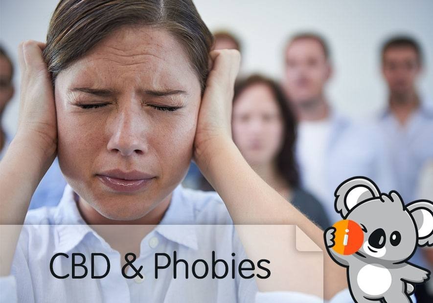 CBD & angoisse, phobie | comment lutter contre troubles anxieux, social
