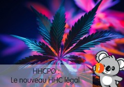HHCPO : nouveau HHC légal aux effets puissants, différence THCP