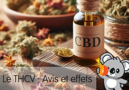THCV : Avis et Effet | Légal en france, THC V vs THCP vs THC