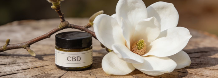 cb2 alternative cbd