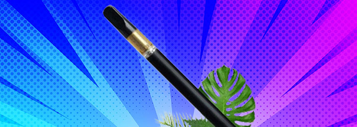 elfbar nachfüll pod läuft aus HHCPO, meilleures Puffs et e-liquides main image 0