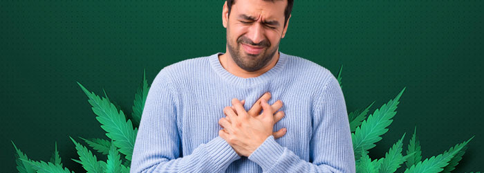 calmer palpitation CBD