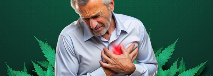 bienfaits cbd pour le coeur