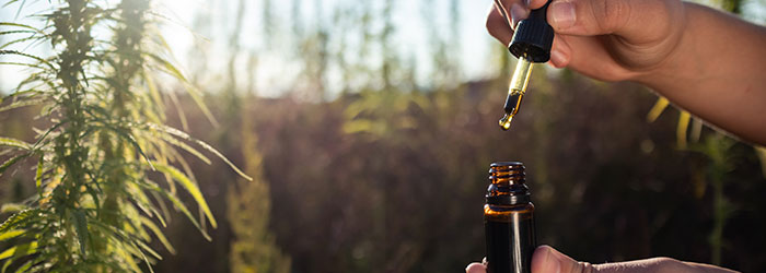 cbd ou chanvre c'est quoi le mieux