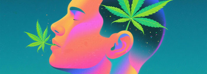 cbdx le plus puissant à fumer