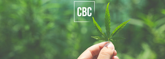 CBC légal France