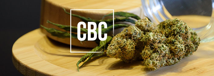 CBC c'est quoi