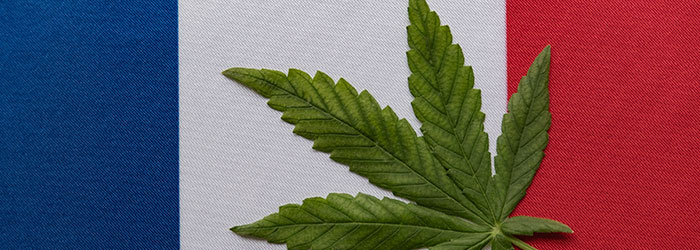 Pourquoi le CBD est légal en France ? Limite taux THC