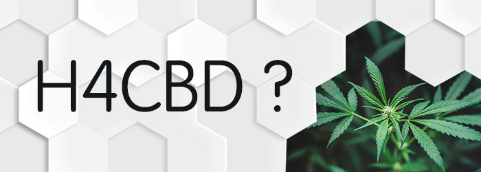 Avis sur le H4CBD  effets et bienfaits nouveau HHC | dosage